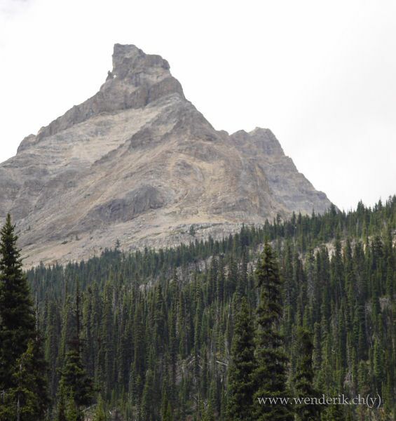  TAKAKKAW Falls, Field, Yoho national Park, British Columbia, Canada... 