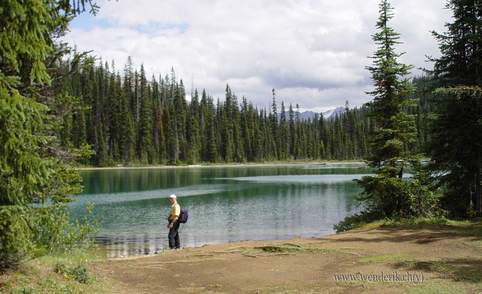  YOHO Lake, Field, Yoho national Park, British Columbia, Canada... 