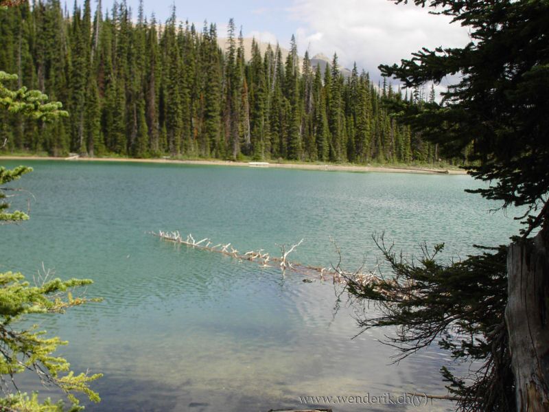  YOHO Lake, Field, Yoho national Park, British Columbia, Canada... 