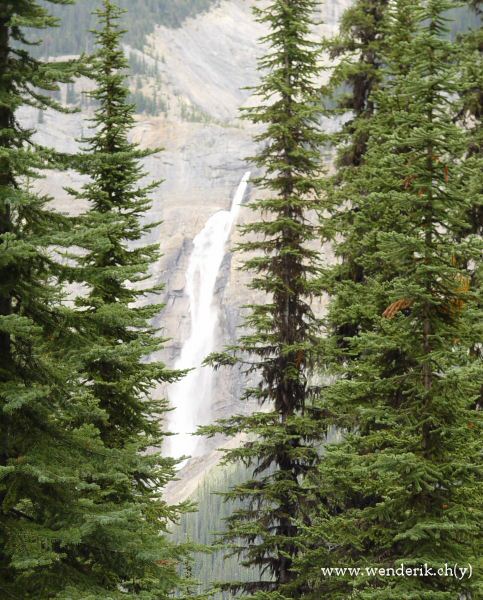  TAKAKKAW Falls, Field, Yoho national Park, British Columbia, Canada... 