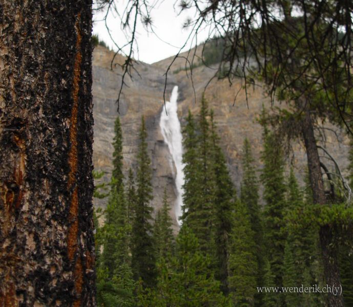  TAKAKKAW Falls, Field, Yoho national Park, British Columbia, Canada... 