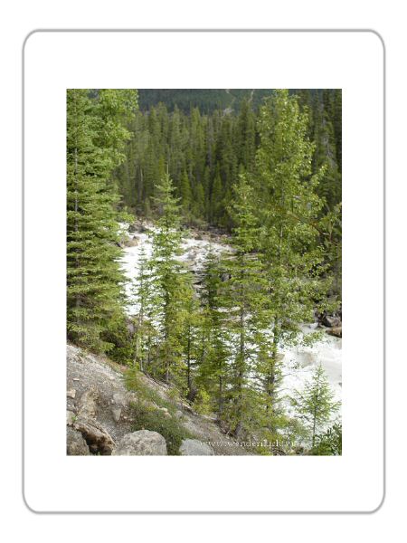  Landscapes of Yoho national park  -  Paysages du parc national Yoho 
