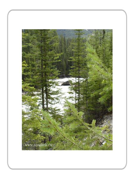  Landscapes of Yoho national park  -  Paysages du parc national Yoho 