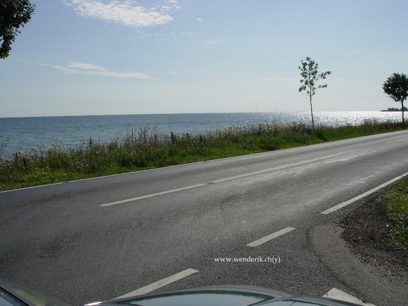 DSC01604_w800.jpg