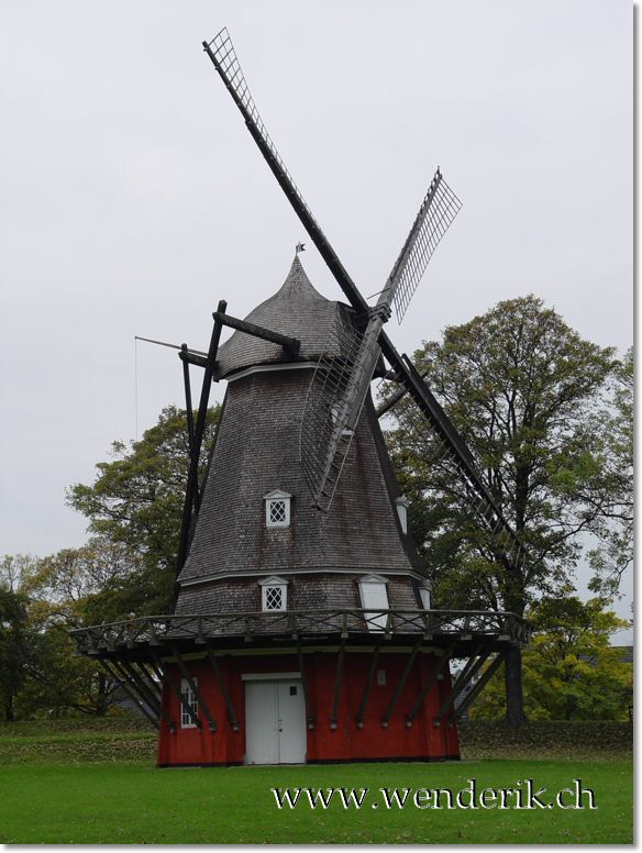 DSC04652_wh7681.jpg