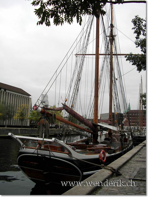 DSCI0007_wh7681.jpg