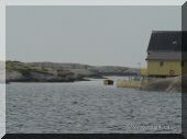 DSC02908_1024w1.jpg