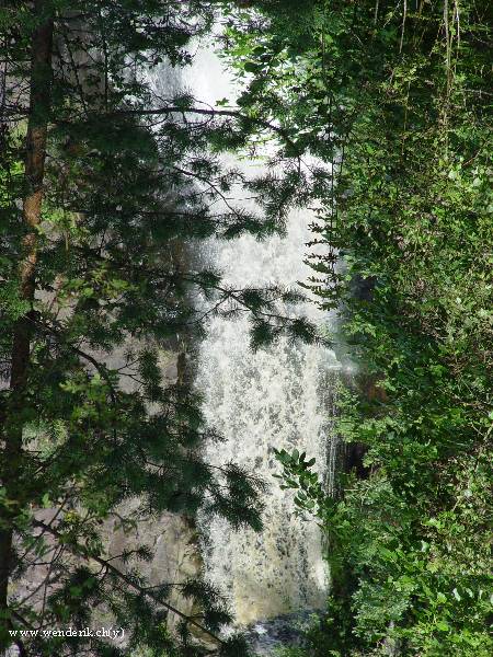 DSC01359_w_600.jpg
