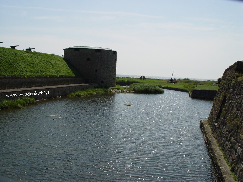 DSC00711_w800.jpg