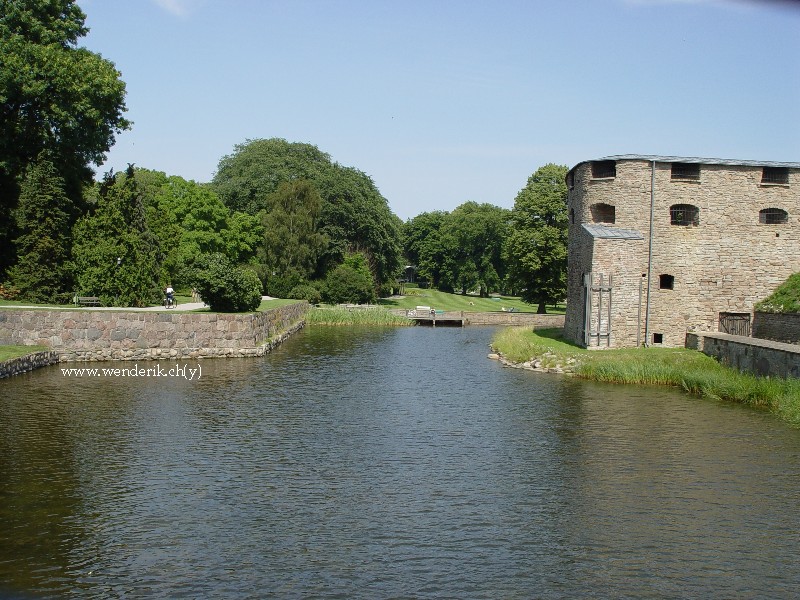 DSC00712_w800.jpg