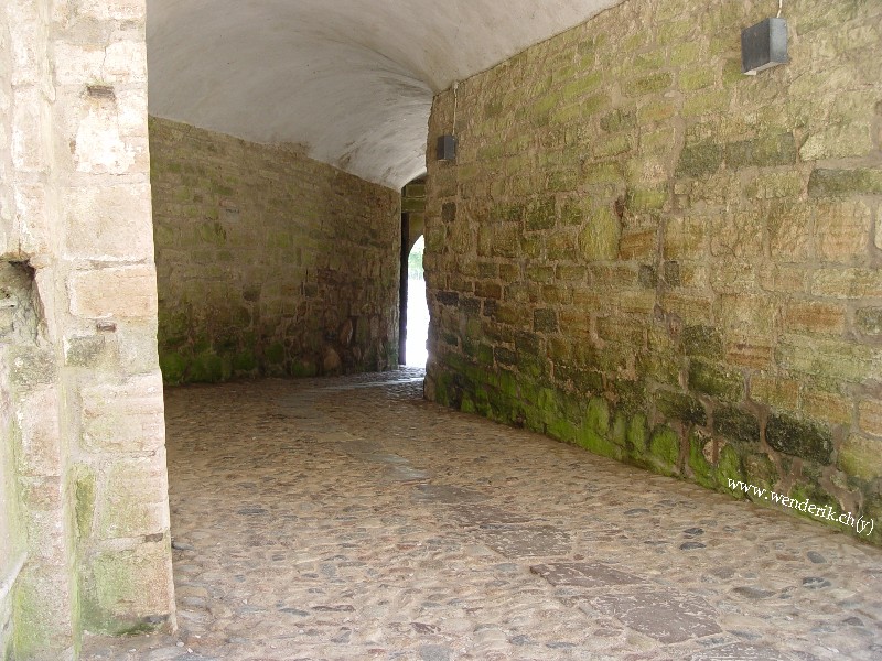 DSC00715_w800.jpg