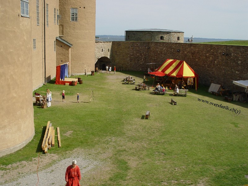 DSC00720_w800.jpg