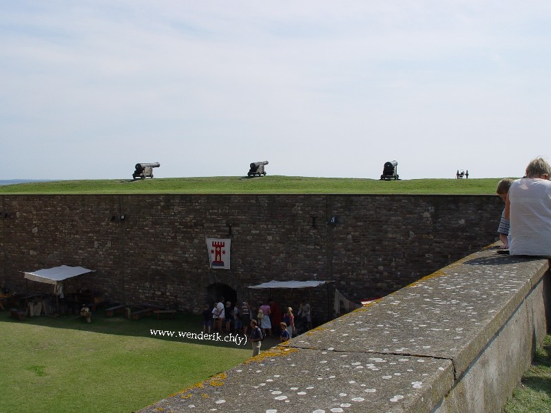 DSC00722_w800.jpg