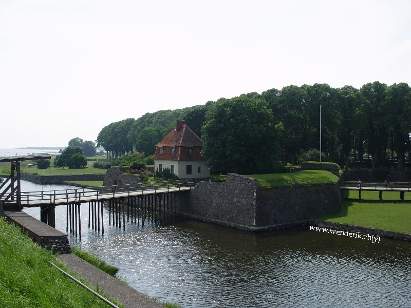 DSC00728_w800.jpg
