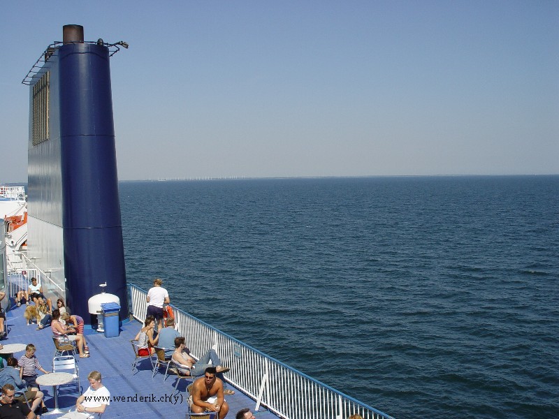 DSC00702_w800.jpg