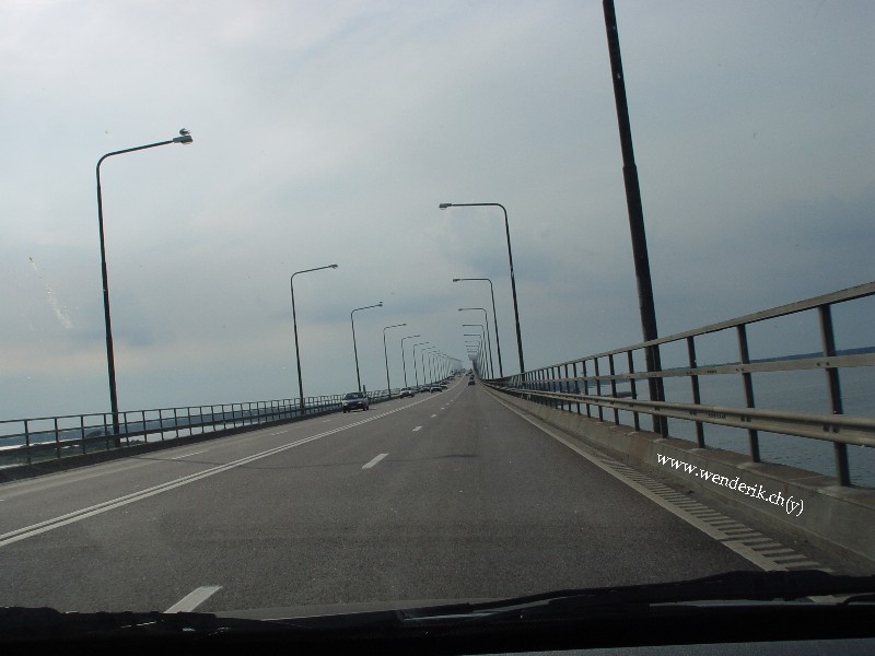 DSC00732_w800.jpg