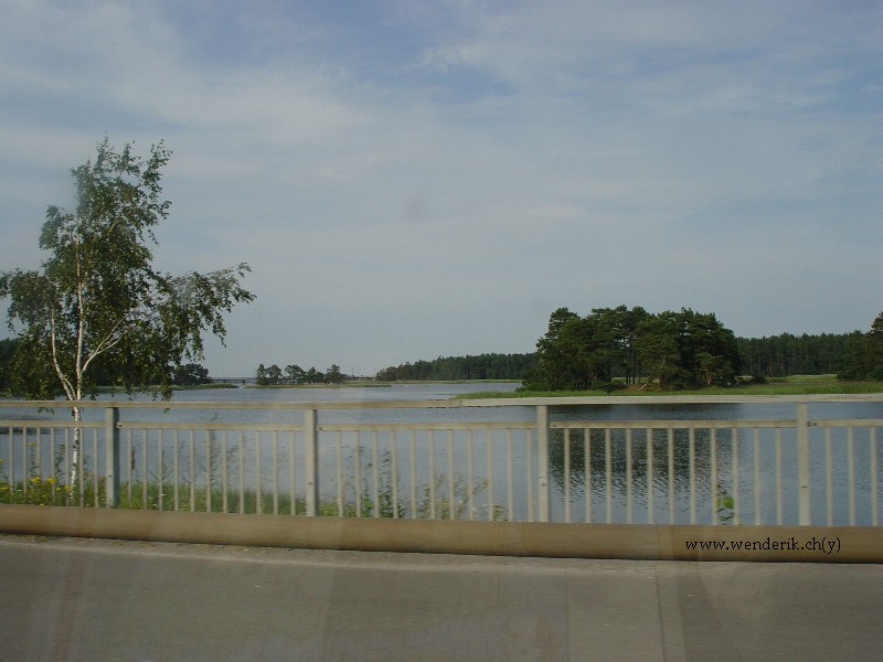 DSC00734_w800.jpg