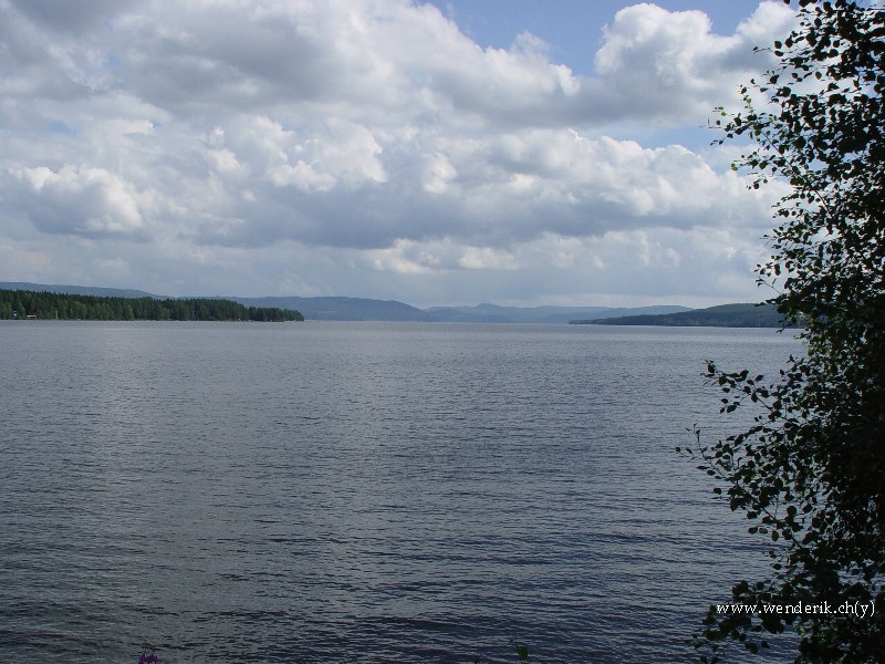 DSC01036_w800.jpg