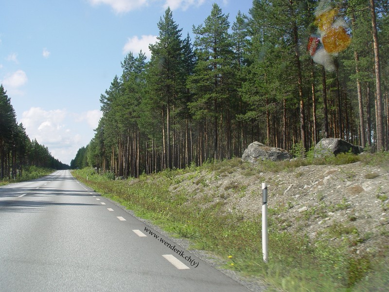 DSC01048_w800.jpg