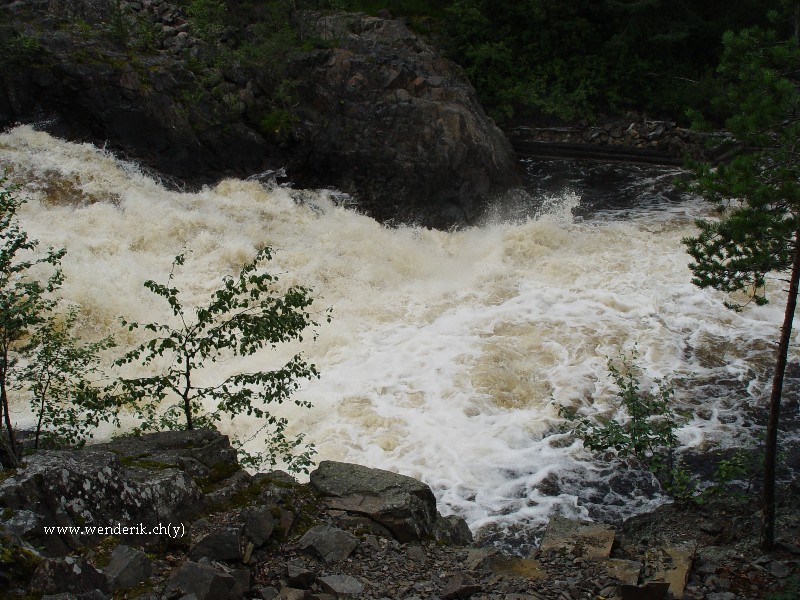 DSC01071_w800.jpg