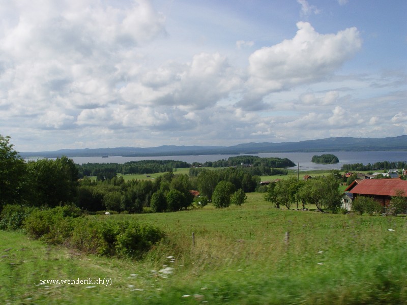 DSC01087_w800.jpg