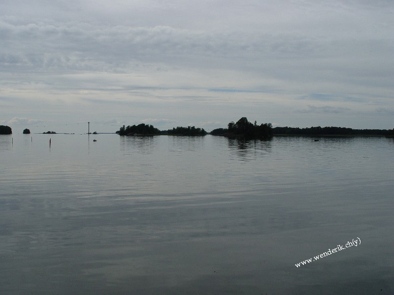 DSC01099_w800.jpg