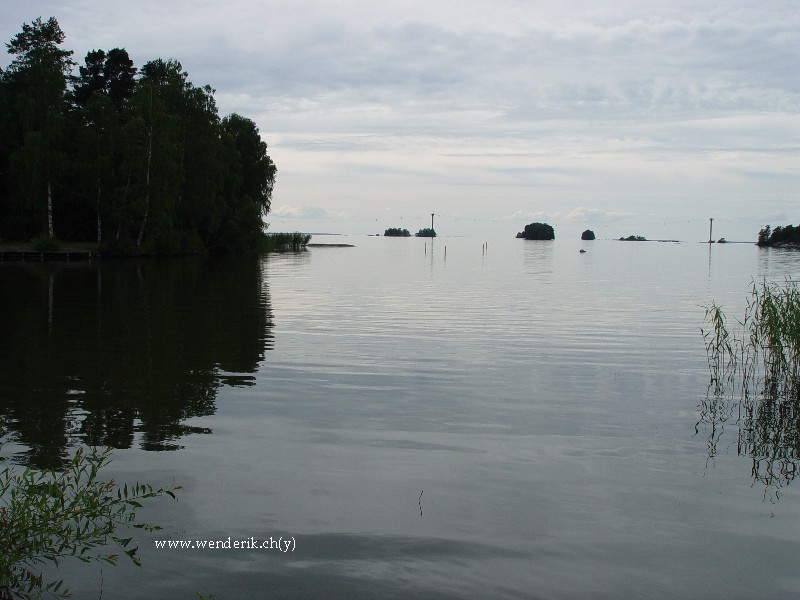 DSC01101_w800.jpg