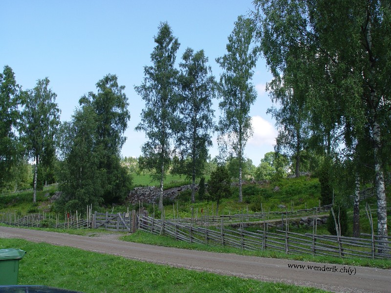 DSC01363_w800.jpg