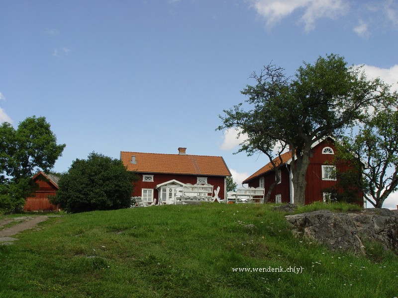 DSC01377_w800.jpg