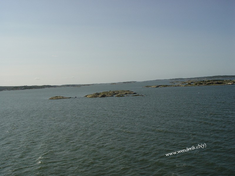 DSC01556_w800.jpg
