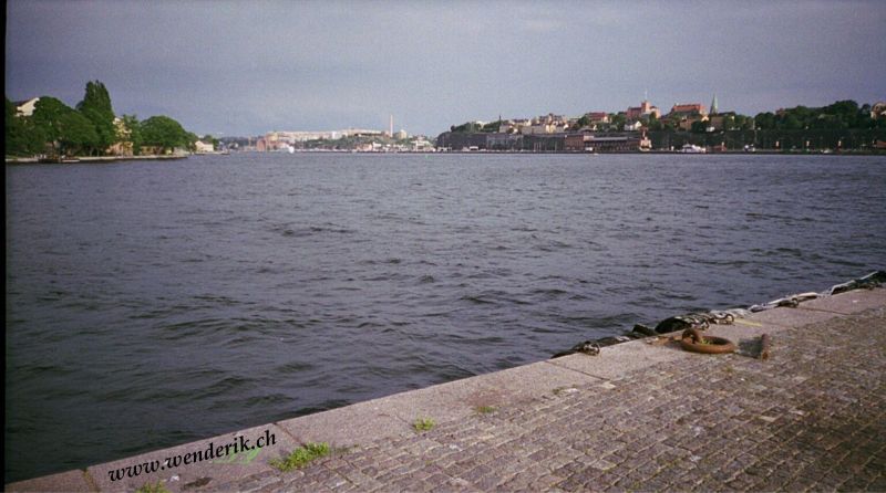 0255-64_w_800.jpg