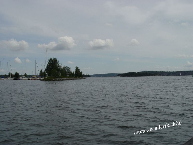 DSC00991_w_800.jpg