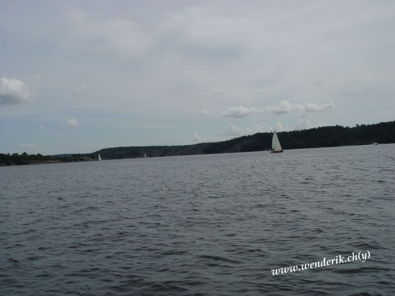 DSC00993_w_800.jpg