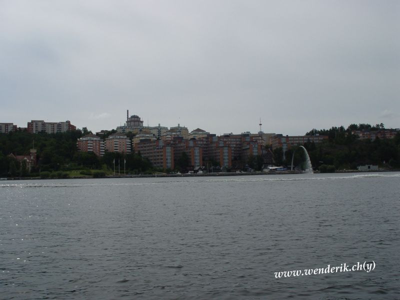 DSC00994_w_800.jpg