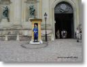 DSC01006_w_800.jpg