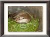 DSC00903_w800.jpg