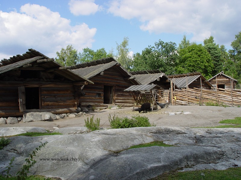 DSC00919_w800.jpg