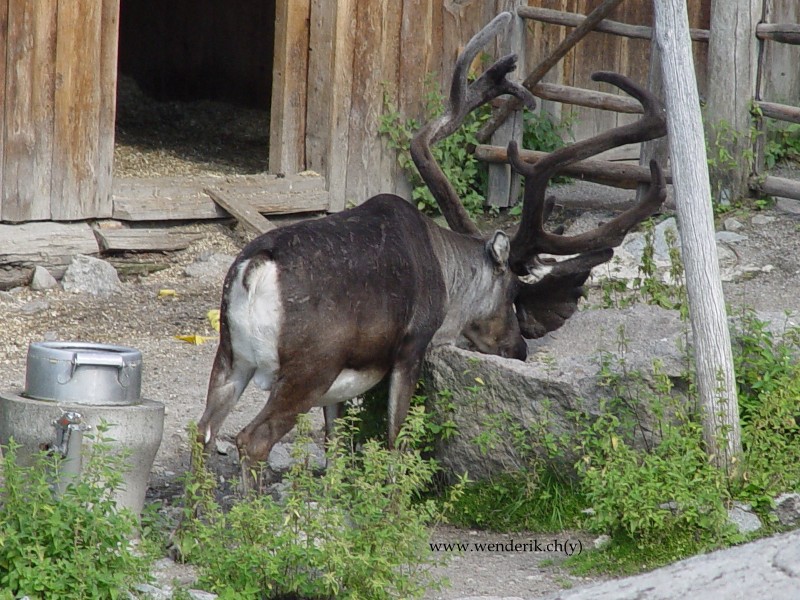 DSC00922_w800.jpg