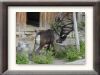 DSC00922_w800.jpg