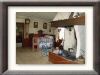 DSC00934_w800.jpg