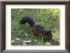 DSC00939_w800.jpg