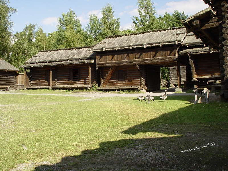 DSC00942_w800.jpg
