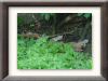 DSC00970_w800.jpg
