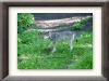DSC00973_w800.jpg