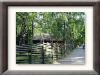 DSC00977_w800.jpg