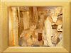 DSC00780_w800.jpg
