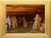 DSC00792_w800.jpg
