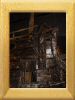 DSC00818_w600.jpg