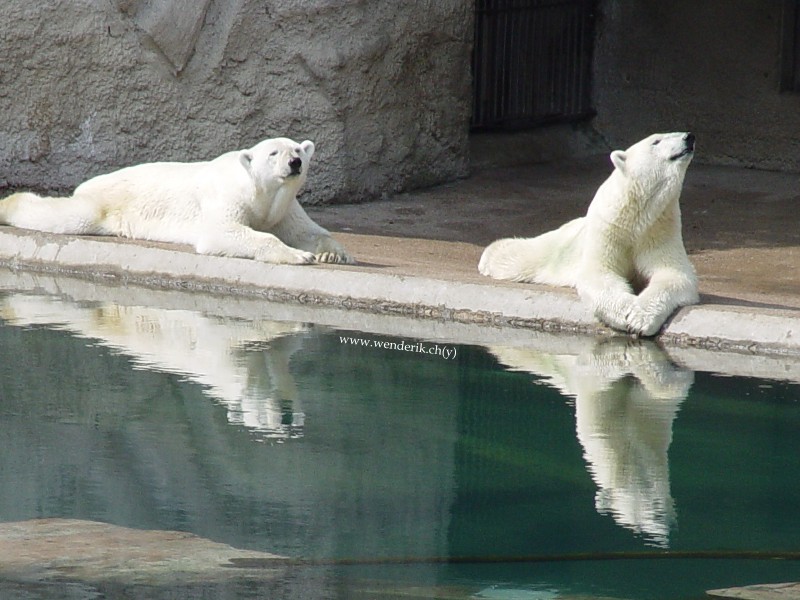 DSC01210_w800.jpg