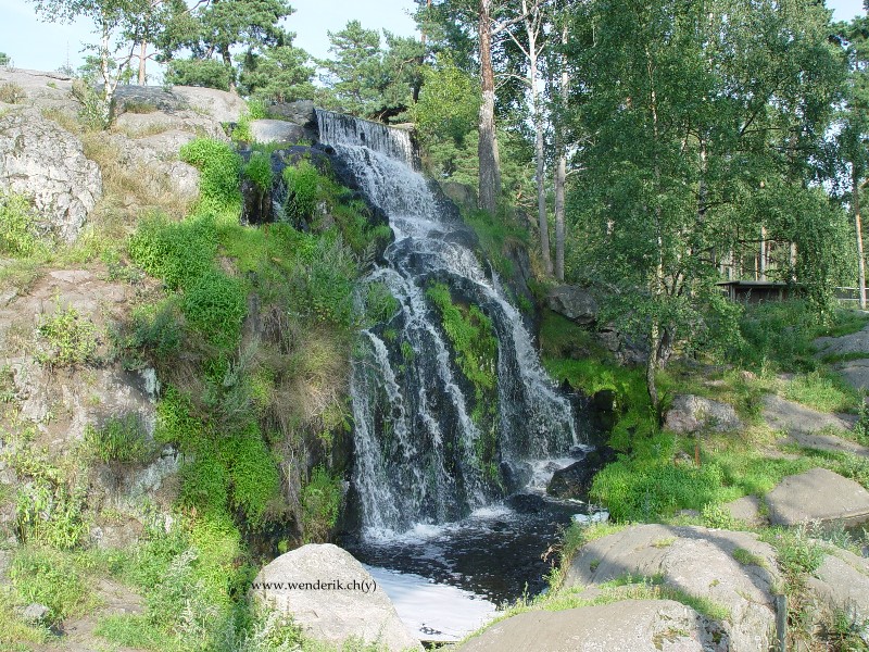 DSC01315_w800.jpg